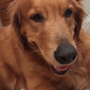 Meet your Posher, Elaine